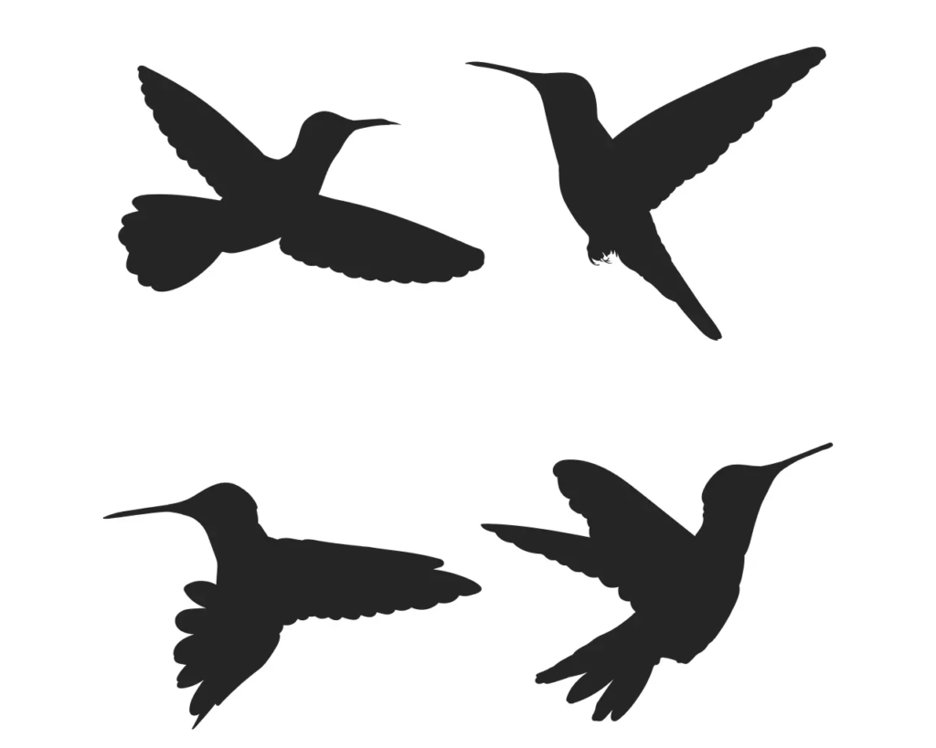 3 - Black _ White Hummingbird SVG Bundle